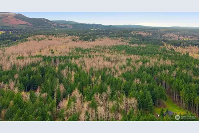 14645 164th Lane SE, Rainier, WA 98576 - Photo 7