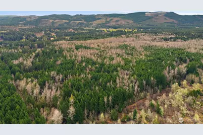 14645 164th Lane SE, Rainier, WA 98576 - Photo 3