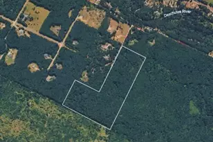 14645 164th Ln SE, Rainier, WA 98576 - Photo 1