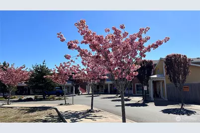 420 Elderberry Lane SW, Ocean Shores, WA 98569 - Photo 27