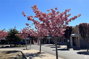 420 Elderberry Ln SW, Ocean Shores, WA 98569 - Photo 27