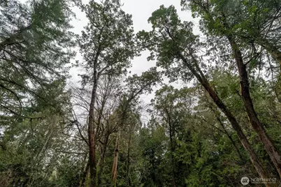 8900 Adams Lane NW, Olympia, WA 98502 - Photo 5