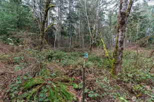 8900 Adams Ln NW, Olympia, WA 98502 - Photo 1