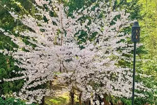 5978 McCormick Woods Dr SW, Port Orchard, WA 98367 - Photo 37