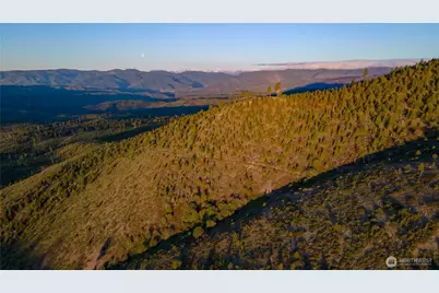 6 Usfs 5350, Chelan, WA 98816 - Photo 3
