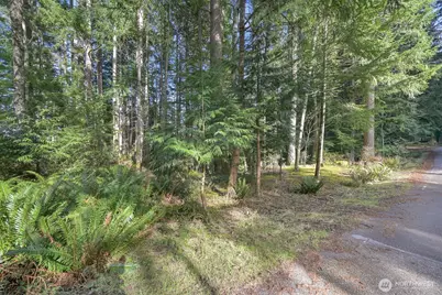 21 Bramble Way, Bellingham, WA 98229 - Photo 7