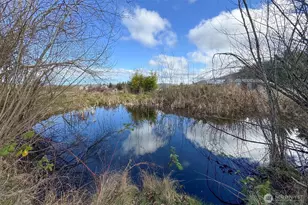 1515 Olson Rd, Sequim, WA 98382 - Photo 33