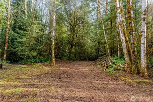 235304 Hwy 101, Port Angeles, WA 98363 - Photo 37