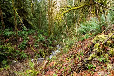 235304 Hwy 101, Port Angeles, WA 98363 - Photo 39