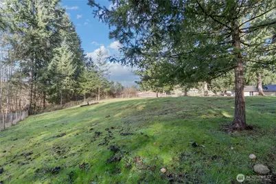 6814 300th Street S, Roy, WA 98580 - Photo 27