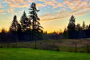 6814 300th St S, Roy, WA 98580 - Photo 35