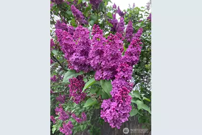 1836 Pike Place, Walla Walla, WA 99362 - Photo 31