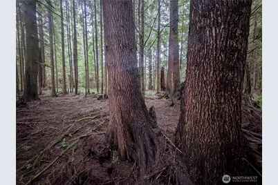 9991 Quillayute Road, Forks, WA 98331 - Photo 19