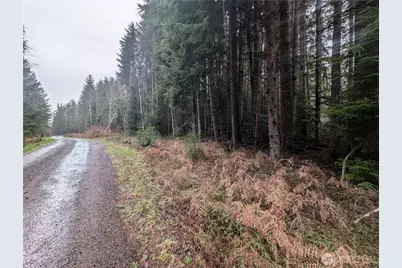 9991 Quillayute Road, Forks, WA 98331 - Photo 35