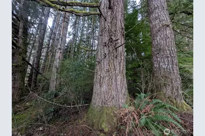 9991 Quillayute Road, Forks, WA 98331 - Photo 29