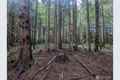 9991 Quillayute Road, Forks, WA 98331 - Photo 9