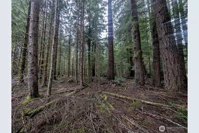 9991 Quillayute Road, Forks, WA 98331 - Photo 39