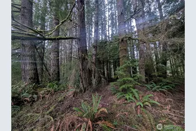 9991 Quillayute Road, Forks, WA 98331 - Photo 23