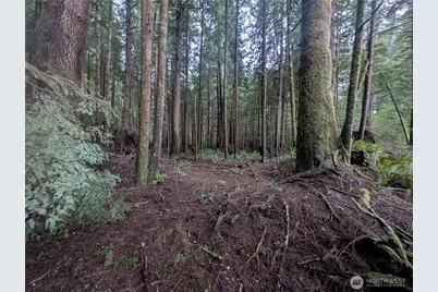 9991 Quillayute Road, Forks, WA 98331 - Photo 15