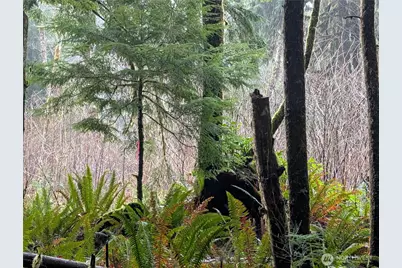 9991 Quillayute Road, Forks, WA 98331 - Photo 17