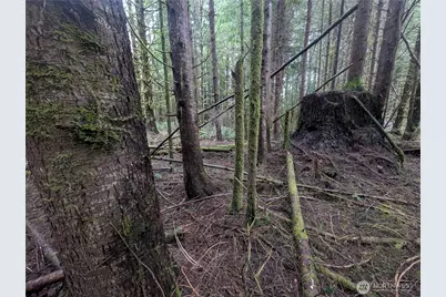 9991 Quillayute Road, Forks, WA 98331 - Photo 7