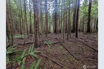 9991 Quillayute Road, Forks, WA 98331 - Photo 11