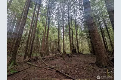 9991 Quillayute Road, Forks, WA 98331 - Photo 1
