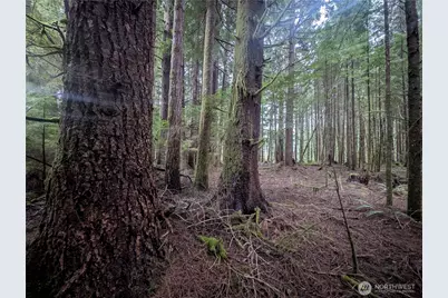 9991 Quillayute Road, Forks, WA 98331 - Photo 21