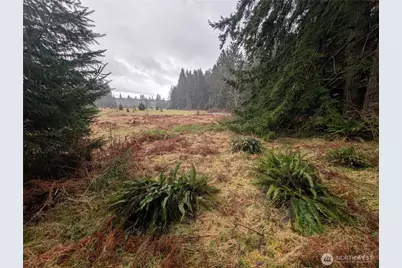 9991 Quillayute Road, Forks, WA 98331 - Photo 27