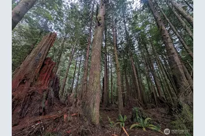 9991 Quillayute Road, Forks, WA 98331 - Photo 13