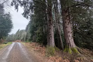 9991 Quillayute Rd, Forks, WA 98331 - Photo 1