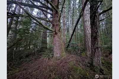 9991 Quillayute Road, Forks, WA 98331 - Photo 31