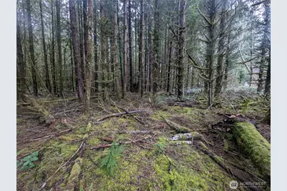 9991 Quillayute Road, Forks, WA 98331 - Photo 5