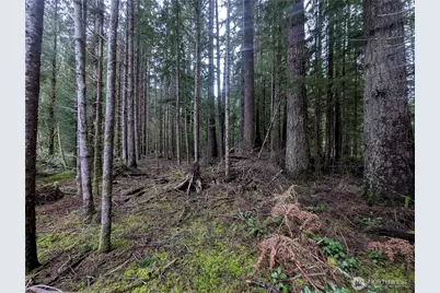 9991 Quillayute Road, Forks, WA 98331 - Photo 37