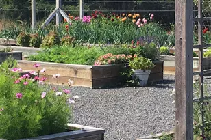 735 Rosler Rd, San Juan Island, WA 98250 - Photo 35