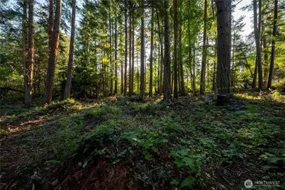 0 Ships Havens Drive, Freeland, WA 98249 - Photo 7