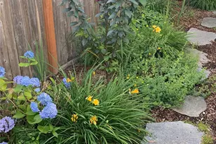 13141 NE 139th St, Kirkland, WA 98034 - Photo 33