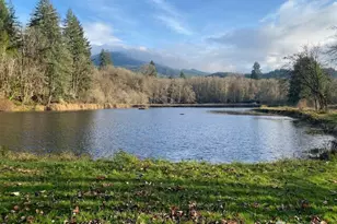 507 Morse St, Ryderwood, WA 98581 - Photo 19