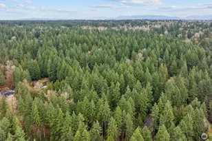 22904 NE 51st St, Redmond, WA 98053 - Photo 39