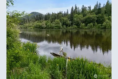 0 Lot 3&4 Orville Road E, Eatonville, WA 98328 - Photo 13