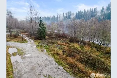 0 Lot 3&4 Orville Road E, Eatonville, WA 98328 - Photo 5