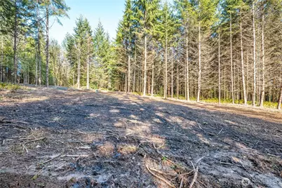 0 Bunker Hill Road #A, Longview, WA 98632 - Photo 17