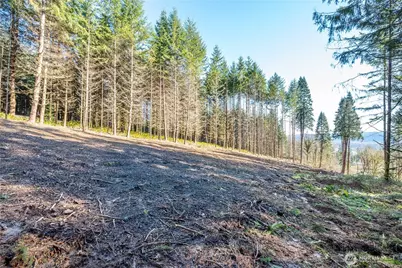 0 Bunker Hill Road #A, Longview, WA 98632 - Photo 13