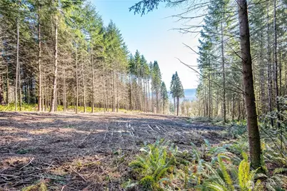 0 Bunker Hill Road #A, Longview, WA 98632 - Photo 11
