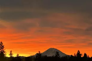 24519 137th Ct SE, Kent, WA 98042 - Photo 35