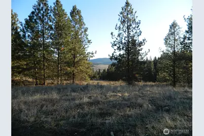 198 Antwyne Lane, Tonasket, WA 98855 - Photo 13