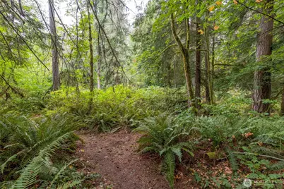 26510 SE 172nd Street, Issaquah, WA 98027 - Photo 33