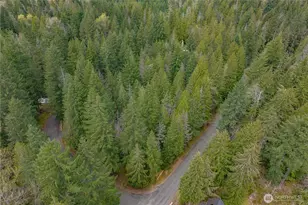 56514 383rd Ave Ct E, Ashford, WA 98304 - Photo 29