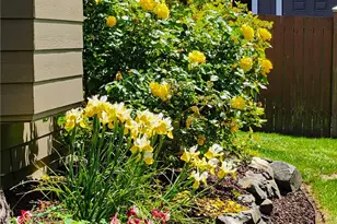 6512 75th Dr NE, Marysville, WA 98270 - Photo 29