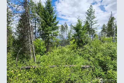 318 Rockabye Lane, Curlew, WA 99118 - Photo 13